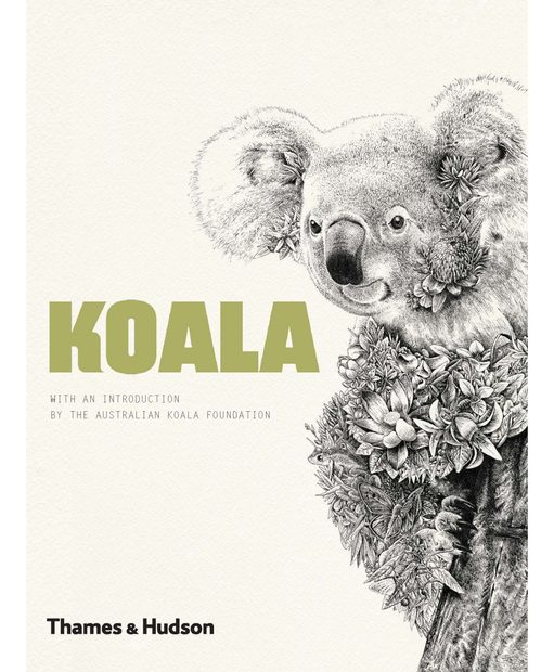 Koala