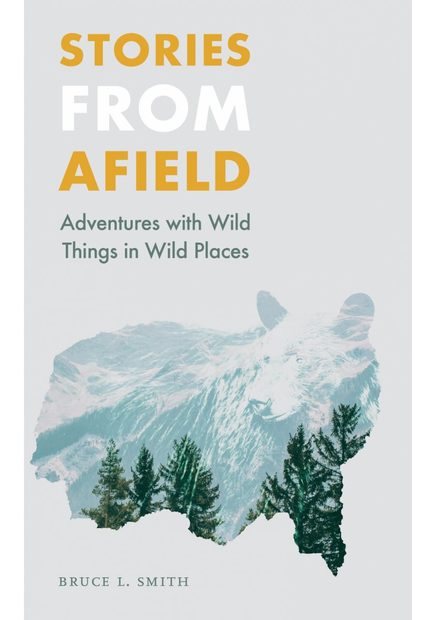 Stories from Afield
