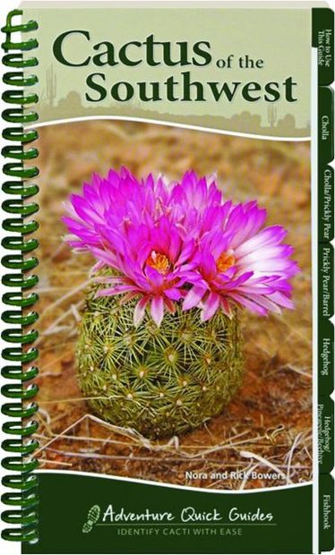 Cactus of the Southwest