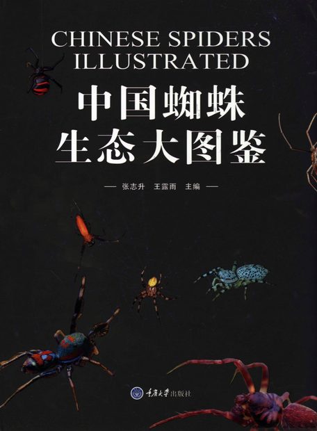 Chinese Spiders Illustrated [Chinese]