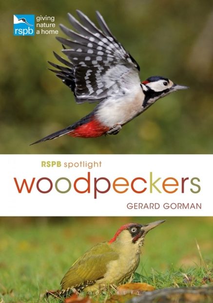 RSPB Spotlight: Woodpeckers