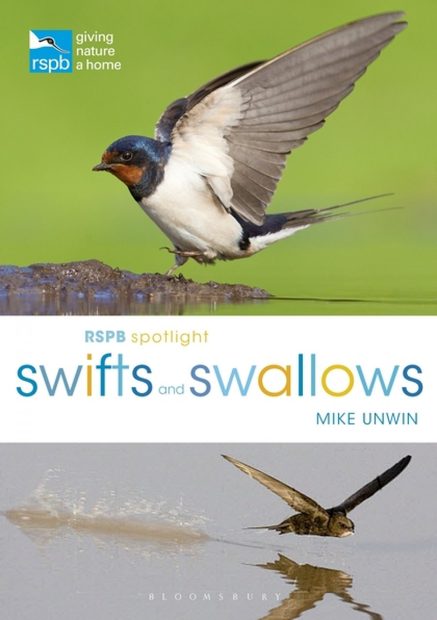 RSPB Spotlight: Swifts and Swallows