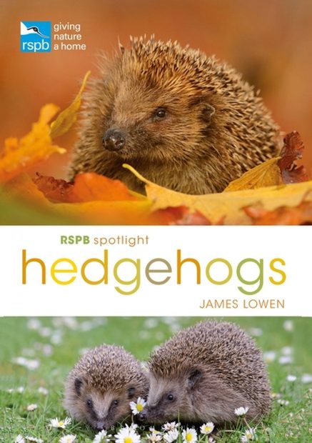 RSPB Spotlight: Hedgehogs