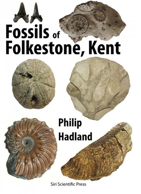 Fossils of Folkestone, Kent | NHBS Field Guides & Natural History