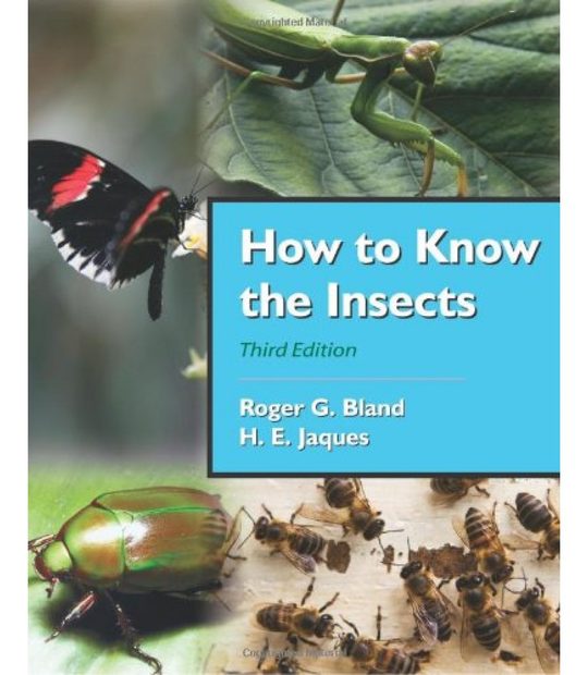 How to Know the Insects