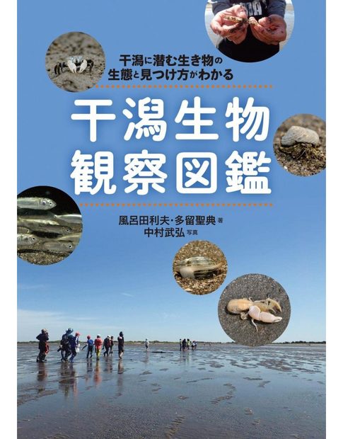 Higata Seibutsu Kansatsu Zukan: Higata ni Hisomu Ikimono no Seitai to Mitsuke-Kata ga Wakaru [Biological Observation on Tidal Flats: Ecology of Creatures Lurking in Tidal Flats]