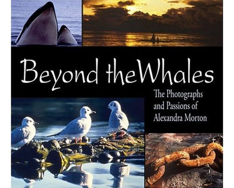 Beyond the Whales
