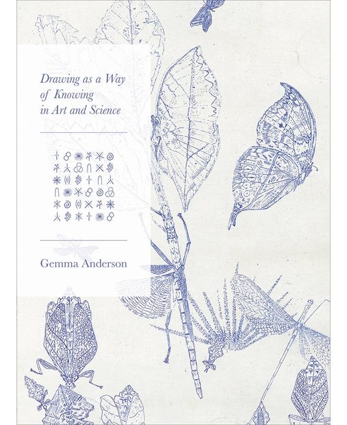 Drawing as a Way of Knowing in Art and Science