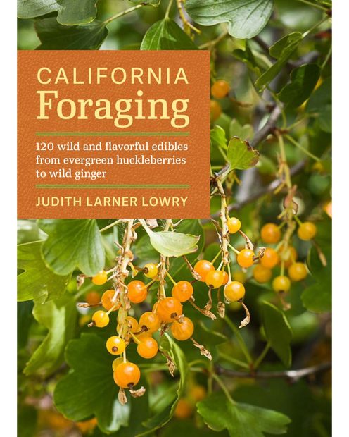 California Foraging