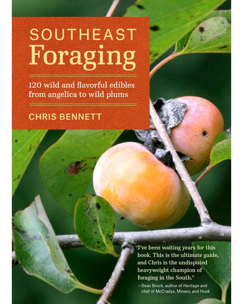 Southeast Foraging