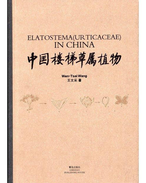 Elatostema (Urticaceae) in China