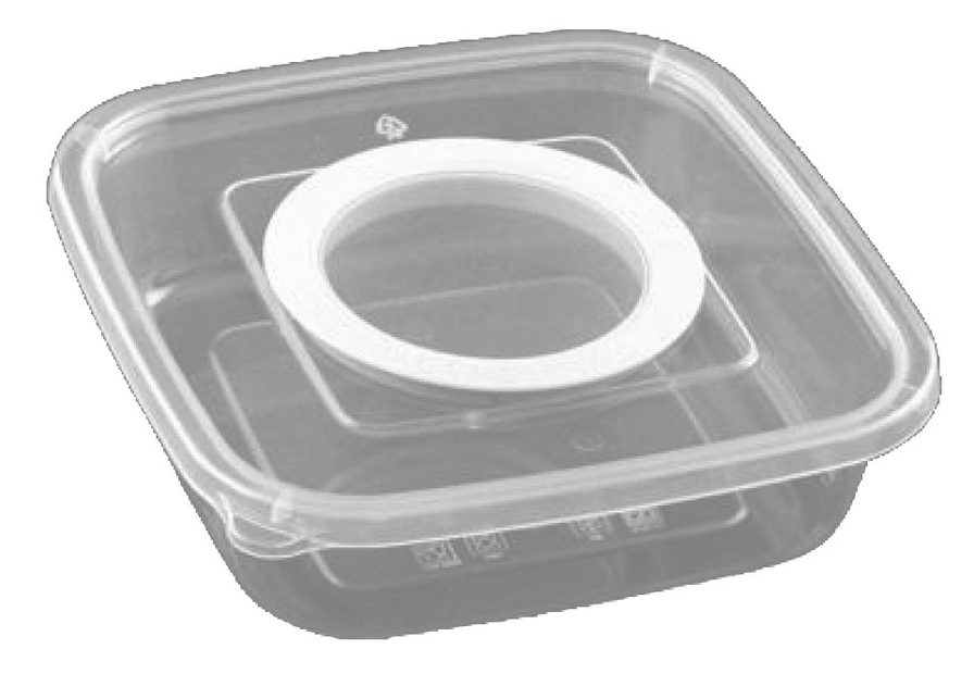 Insect Box (Wire Mesh)