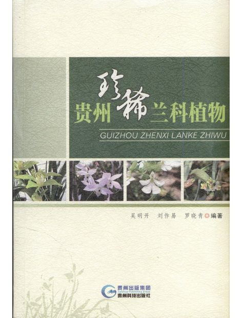 Rare Orchids in Guizhou Province of China [Chinese]