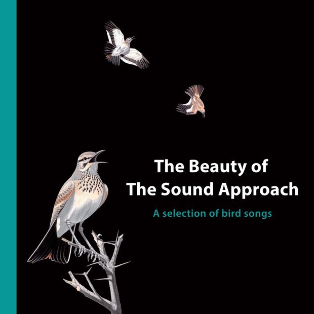 The Beauty of The Sound Approach