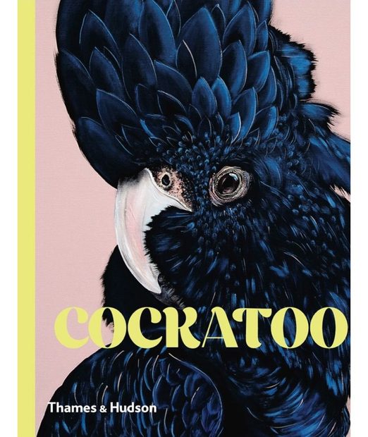 Cockatoo