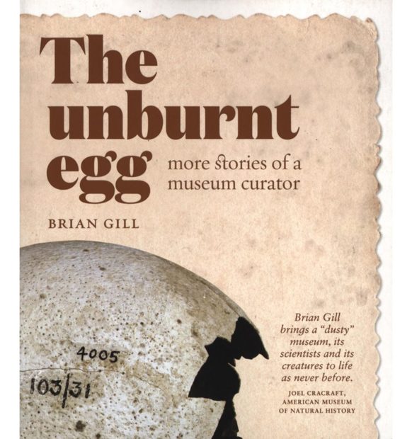 The Unburnt Egg