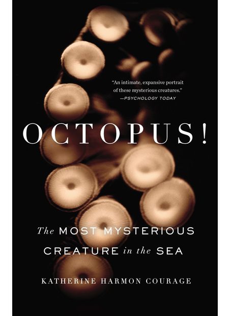Octopus! The Most Mysterious Creature in the Sea