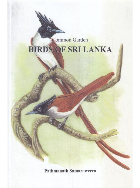 Common Garden Birds of Sri Lanka
