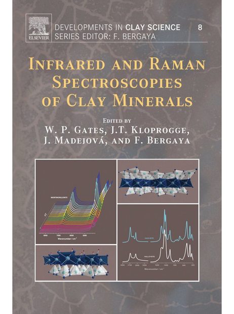 Infrared and Raman Spectroscopies of Clay Minerals