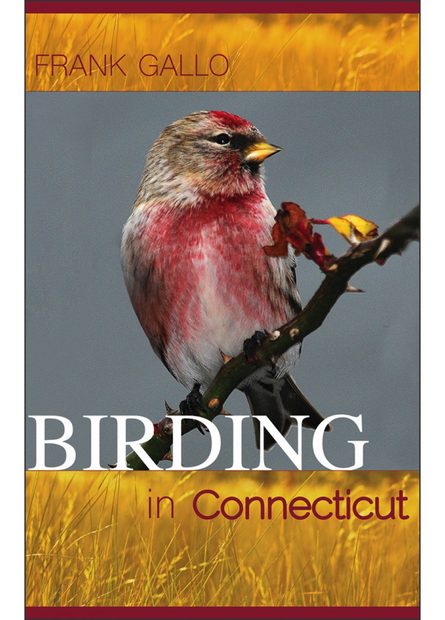 Birding in Connecticut