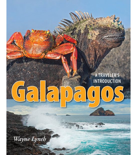 Galapagos: A Traveler's Introduction