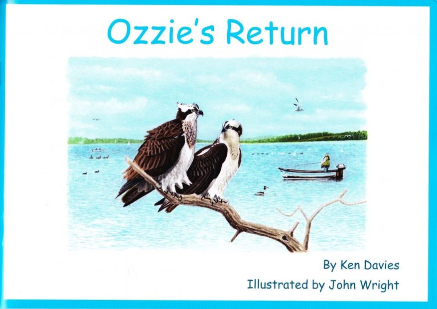 Ozzie’s Return