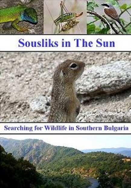 Sousliks in the Sun: Searching for Wildlife in Southern Bulgaria (Region 2)