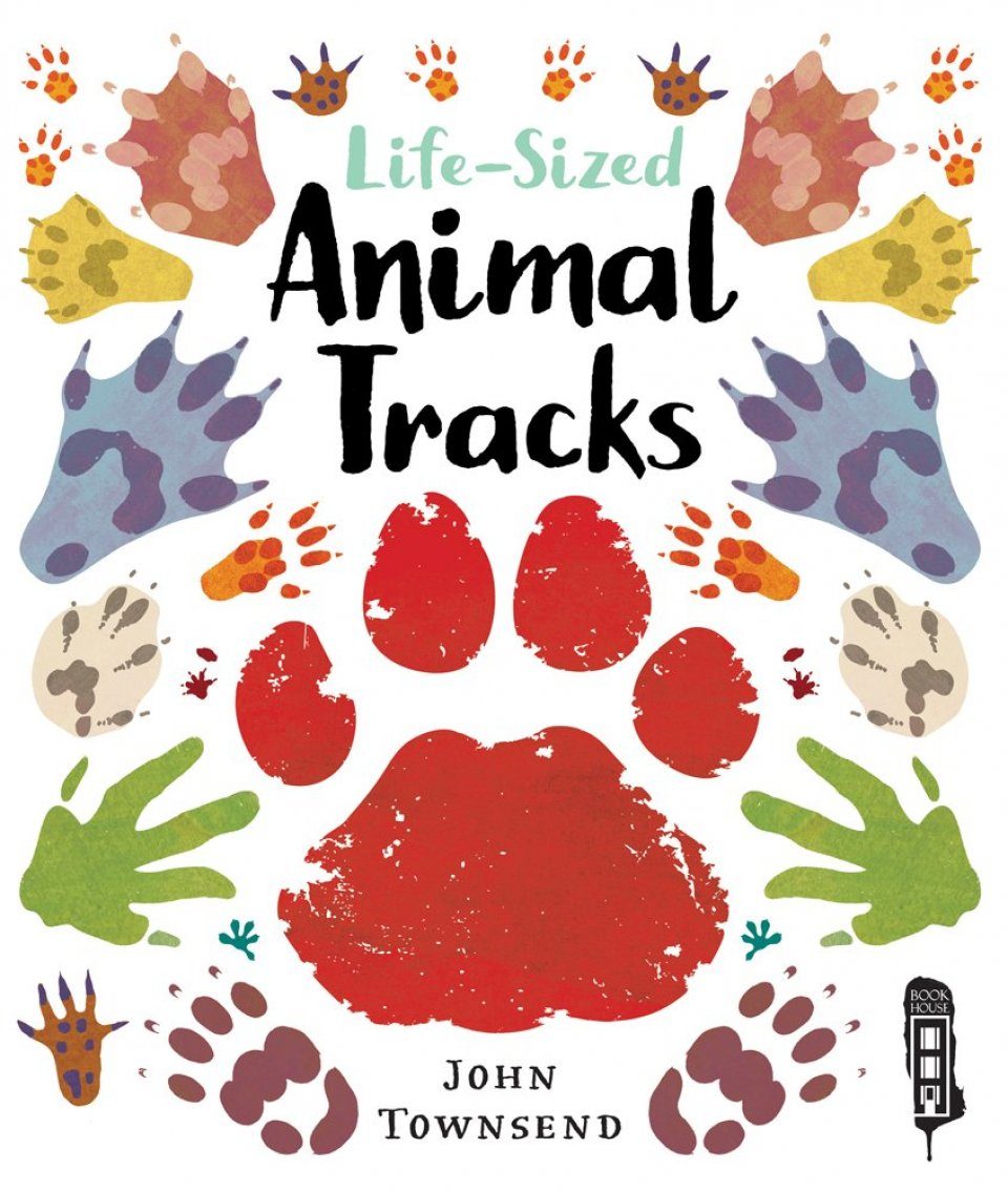 Life-Sized Animal Tracks | NHBS Academic & Professional Books