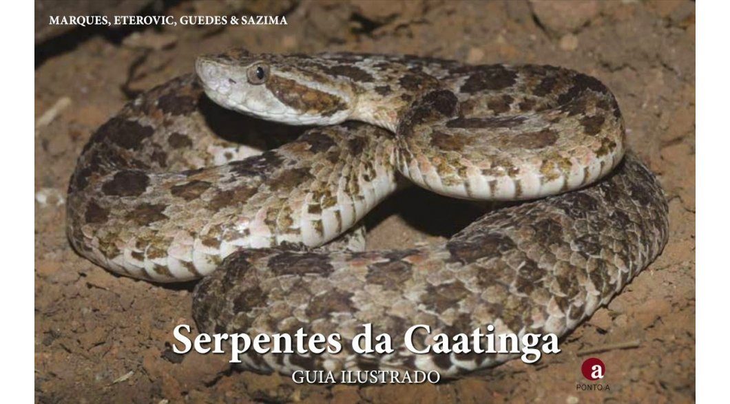 Nossas Incríveis Serpentes