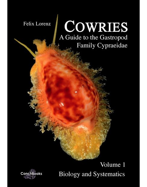 Cowries – A Guide to the Gastropod Family Cypraeidae, Volume 1