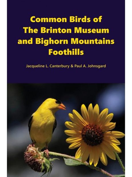 Common Birds of the Brinton Museum and Bighorn Mountains Foothills