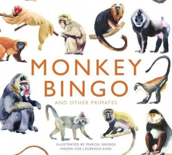Monkey Bingo