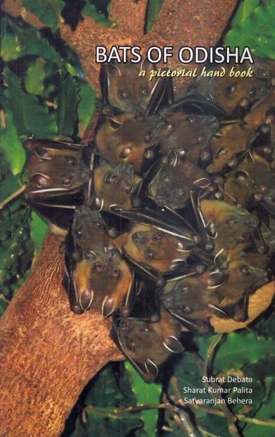 Bats of Odisha
