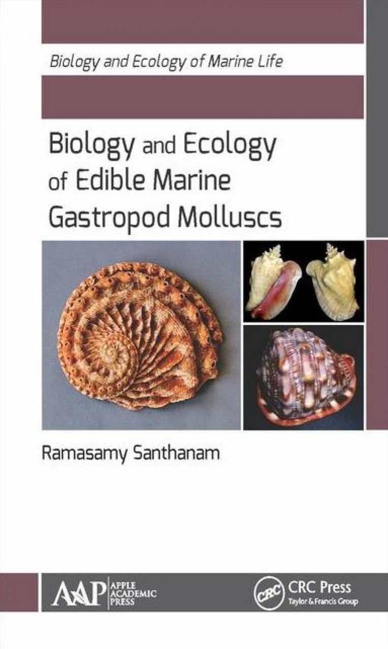 Biology and Ecology of Edible Marine Gastropod Molluscs ...