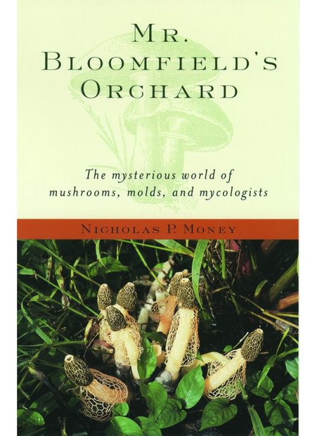 Mr. Bloomfield's Orchard