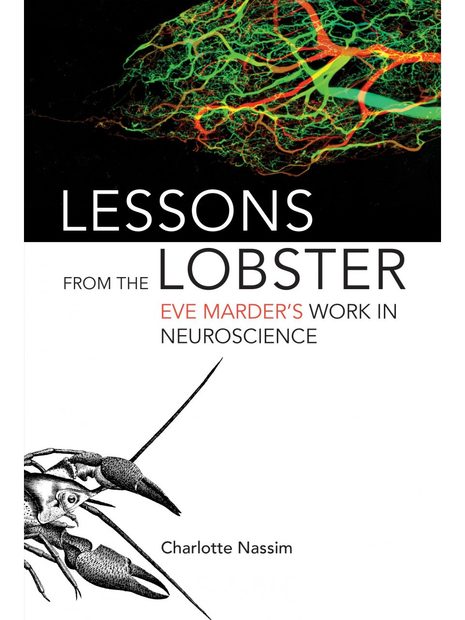 Lessons from the Lobster