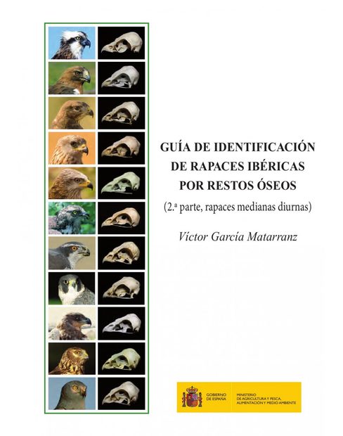 Guía de Identificación de Rapaces Ibéricas por Restos Óseos, 2ª Parte: Rapaces Medianas Diurnas [Identification Guide to Iberian Raptors Using Skeletal Remains, Part 1: Medium Diurnal Raptors]