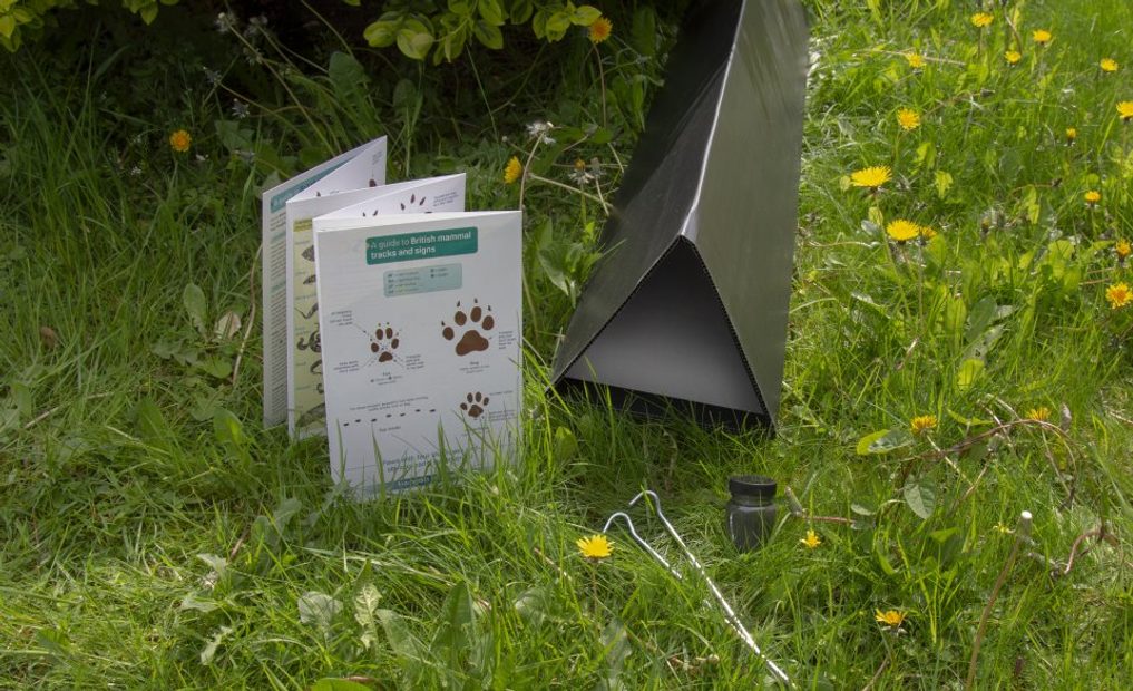 Mammal Footprint Tunnel