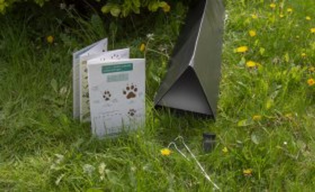 Mammal Footprint Tunnel