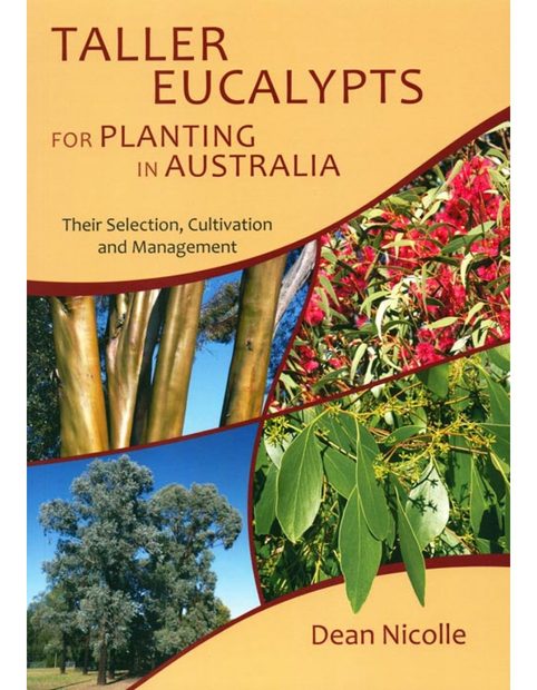 Taller Eucalypts for Planting in Australia