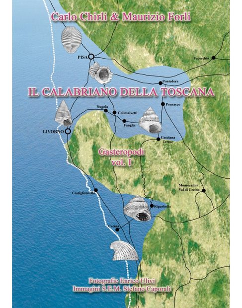 Il Calabriano Della Toscana: Gasteropodi Volume 1 [The Calabrian Of Tuscany: Gastropods Volume 1]