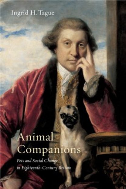 Animal Companions