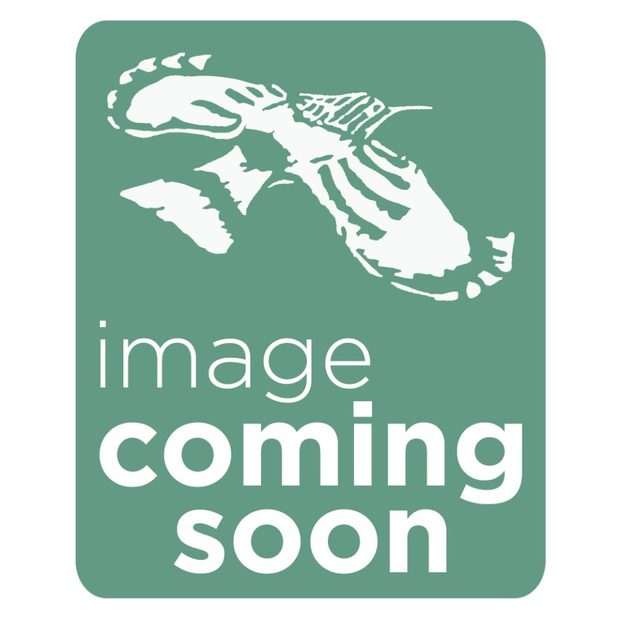 Exped Waterproof Compression Bag