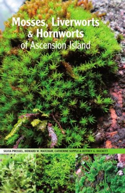 Mosses, Liverworts & Hornworts of Ascension Island