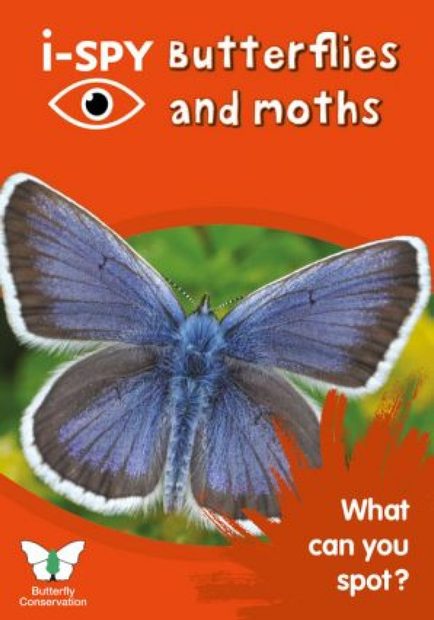 i-SPY Butterflies and Moths