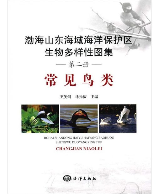 Atlas of Biodiversity in Shandong and Bohai Marine Protected Areas: Common Birds [Chinese]
