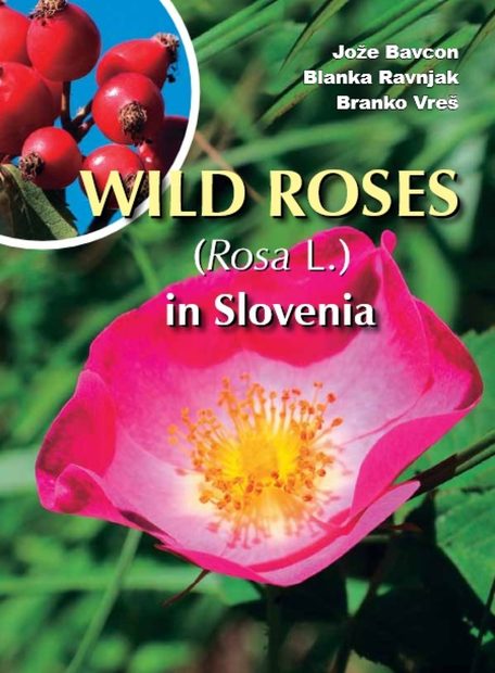 Wild Roses (Rosa L.) in Slovenia