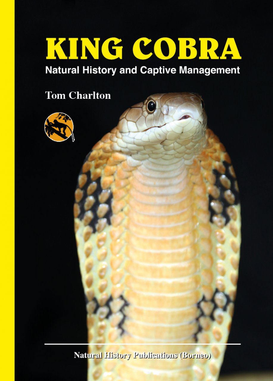 King Cobra Natural History And Captive Management Nhbs