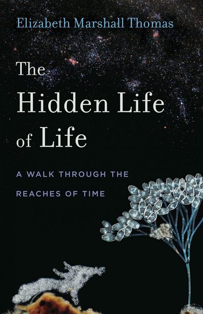The Hidden Life of Life
