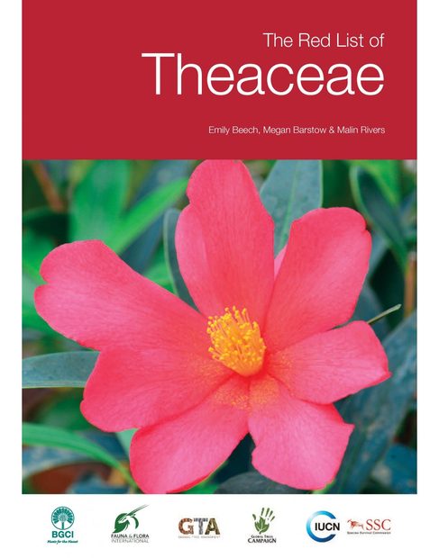 The Red List of Theaceae